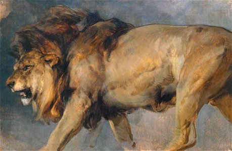 Edwin Henry Landseer (1802-1873) - Study of a Lion - N01350 - National Gallery