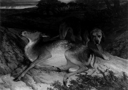 Edwin Henry Landseer - Wounded Stag and Dog - 1967.586 - Art Institute of Chicago