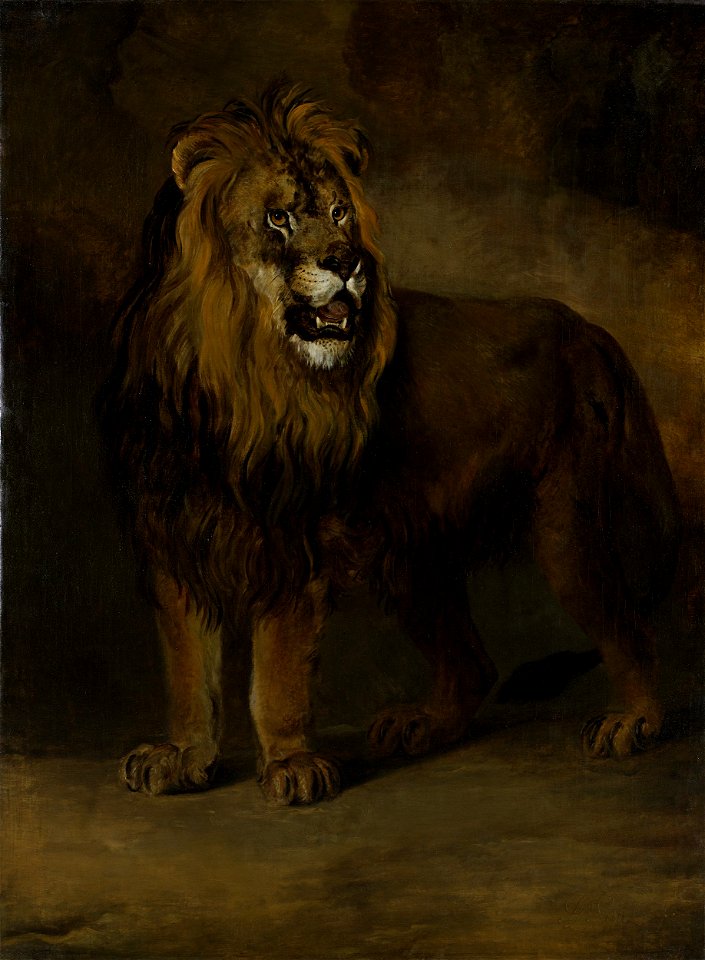 Een leeuw uit de menagerie van koning Lodewijk Napoleon, 1808 Rijksmuseum SK-A-1100