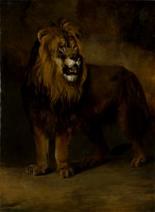 Een leeuw uit de menagerie van koning Lodewijk Napoleon, 1808 Rijksmuseum SK-A-1100