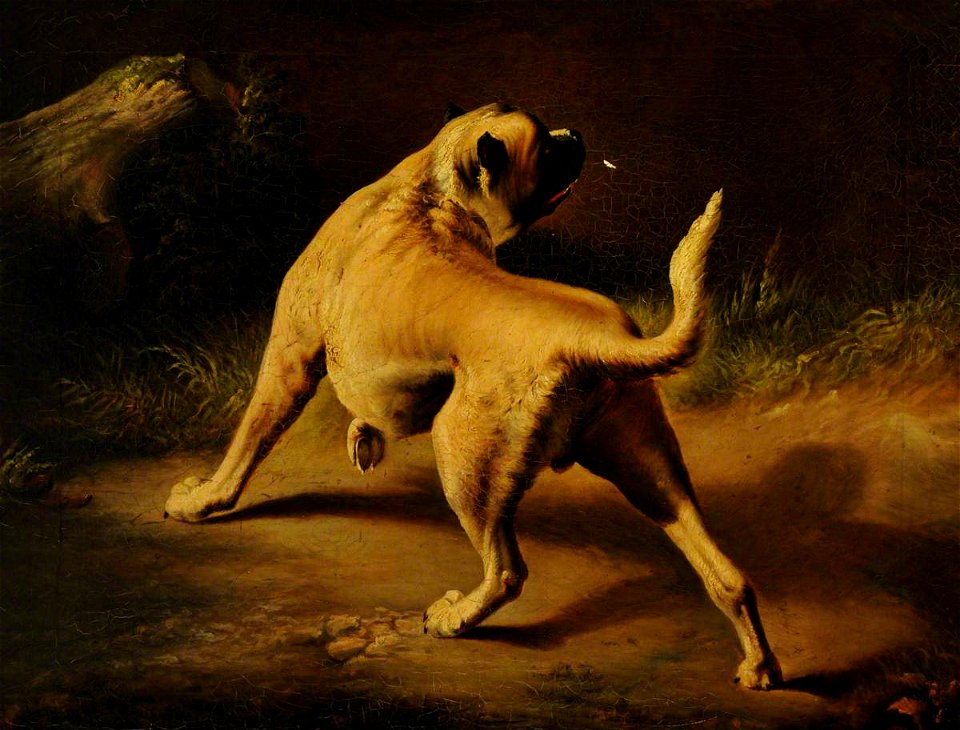 Edwin Henry Landseer (1802-1873) - A Dog on Alert - 979337 - National Trust