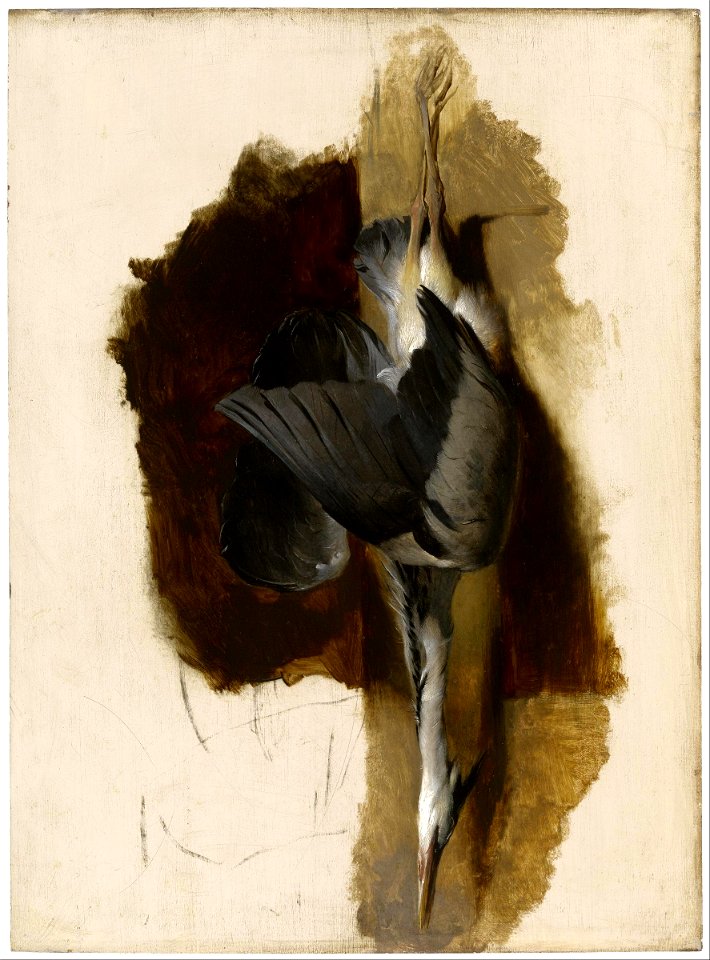 Edwin Landseer - Study of a Dead Heron - Google Art Project