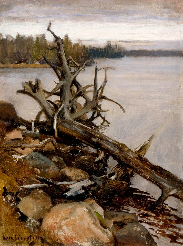 Eero Järnefelt - Dead Pine in the Water - A II 1155 - Finnish National Gallery