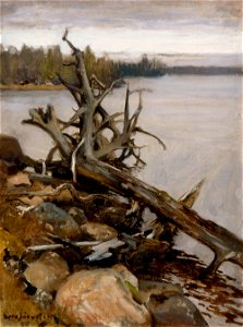 Eero Järnefelt - Dead Pine in the Water - A II 1155 - Finnish National Gallery