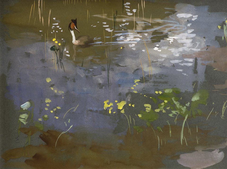 Eero Järnefelt - Great Crested Grebe