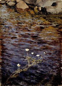 Eero Järnefelt - Pond Water Crowfoot - Google Art Project