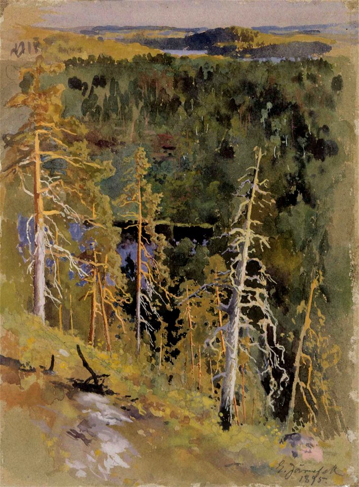 Eero Järnefelt - Forest Landscape - A I 627-2 - Finnish National Gallery