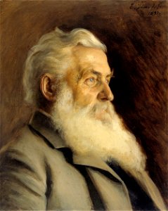 Eero Järnefelt - Portrait of Mr. Ahnger - A IV 3880 - Finnish National Gallery