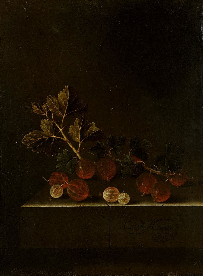 Een takje kruisbessen op een stenen plint Rijksmuseum SK-C-1689