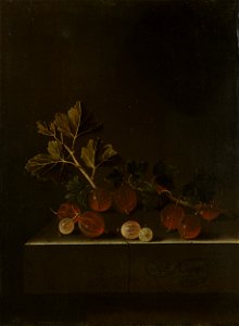 Een takje kruisbessen op een stenen plint Rijksmuseum SK-C-1689