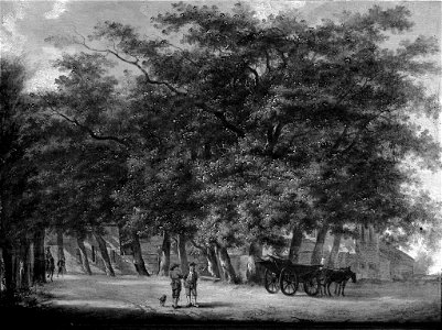 Egbert van Drielst - Landweg met bomen - SA 880 - Amsterdam Museum
