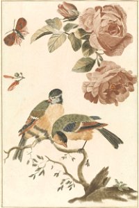 Een pimpelmees en een koolmees op een tak, twee rozen en een vlinder