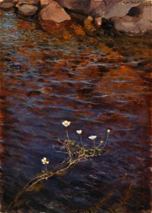 Eero Järnefelt - Pond Water Crowfoot and Shorestones