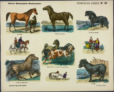 Eenhoevige dieren-Catchpenny print-SMC K 0091