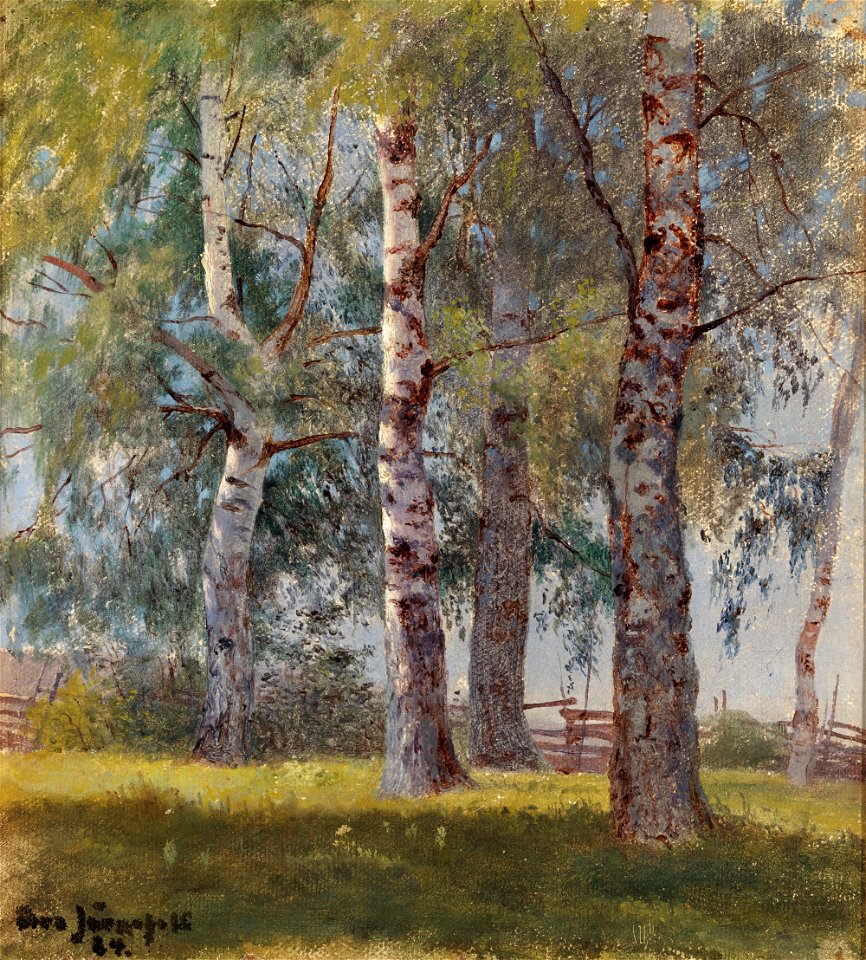 Eero Järnefelt - Koivuja - A II 1610 - Finnish National Gallery