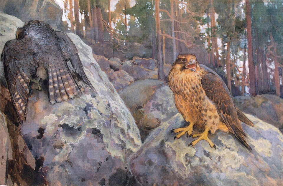 Eero Järnefelt Haukat metsässä