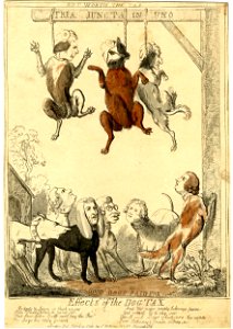 Effects of the dog tax (BM 1851,0901.788)