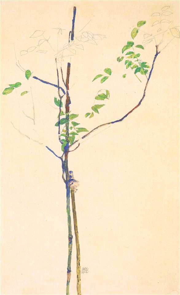 Egon Schiele - Junges Bäumchen mit Stütze - 1912