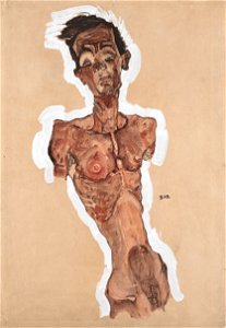 Egon Schiele - Nude Self-Portrait - Google Art Project
