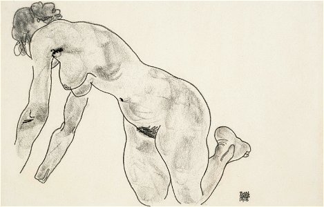 Egon schiele hockender weiblicher akt114704)