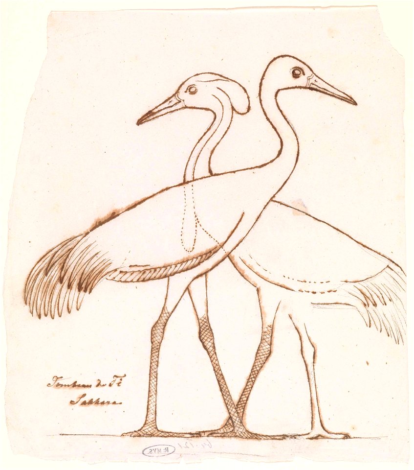 Egyptische reliëfsculptuur- twee kraanvogels. RP-T-1964-121