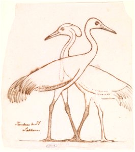 Egyptische reliëfsculptuur- twee kraanvogels. RP-T-1964-121