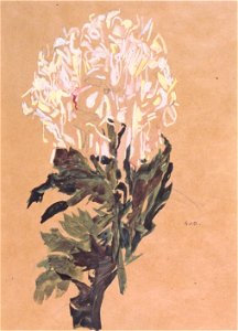 Egon Schiele - Weiße Chrysantheme - 1910