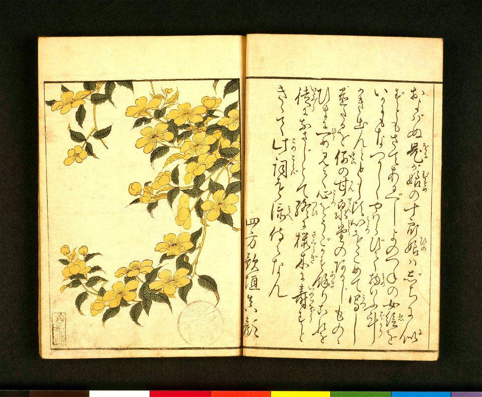 Ehon shiki no hana 絵本四季の花 (Picture-book of the Flowers of the Four Seasons) (BM 1979,0305,0.157.1 20)