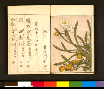 Ehon shiki no hana 絵本四季の花 (Picture-book of the Flowers of the Four Seasons) (BM 1979,0305,0.157.1 18)