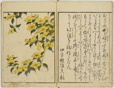 Ehon shiki no hana 絵本四季の花 (Picture-book of the Flowers of the Four Seasons) (BM 1979,0305,0.157.1)