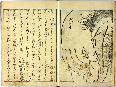 Ehon warai jogo 絵本笑上戸 (Picture Book- The Laughing Drinker) (BM 1972,0724,0.4 40)
