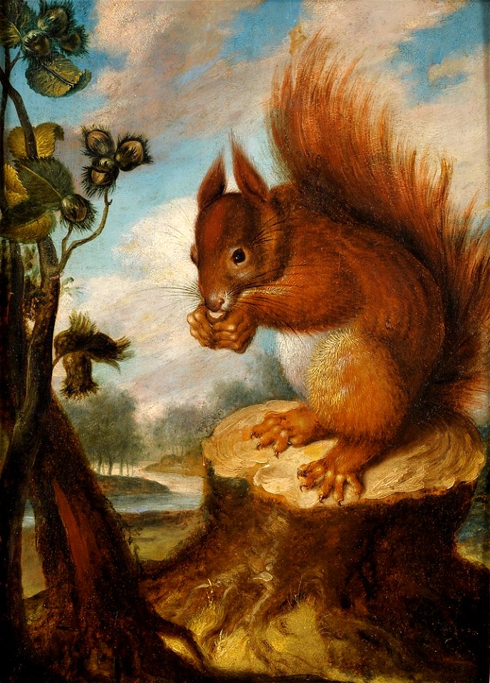 Eichhörnchen mit Nuss