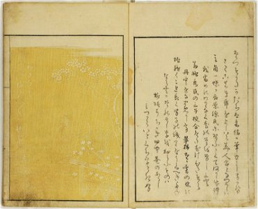 Ehon seiro bijin awase 絵本青楼美人合 (BM 1926,1012,0.1.1 21)