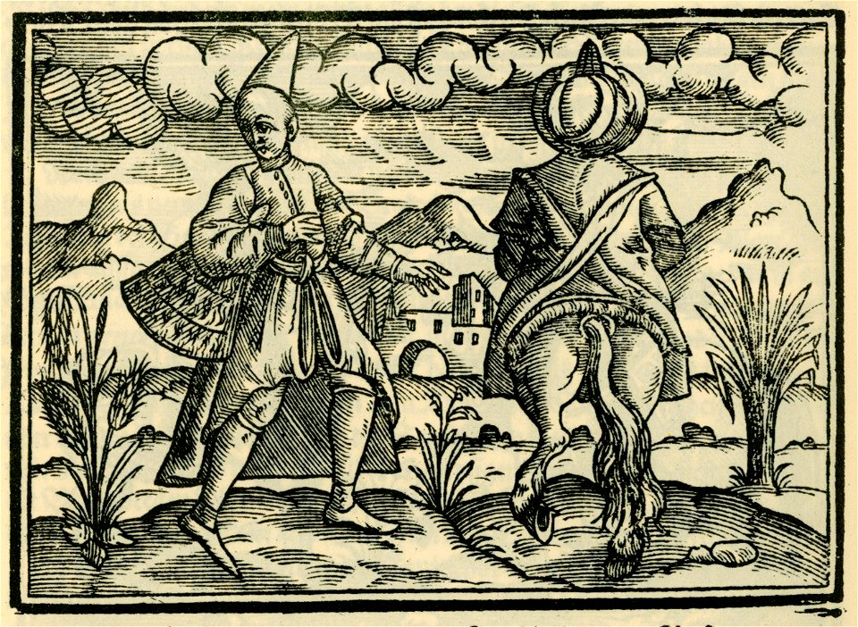 Ein Türkiischer Atchamoglan der neben seinem Herrn laufft und die Pferden nachtregt - Schweigger Salomon - 1608