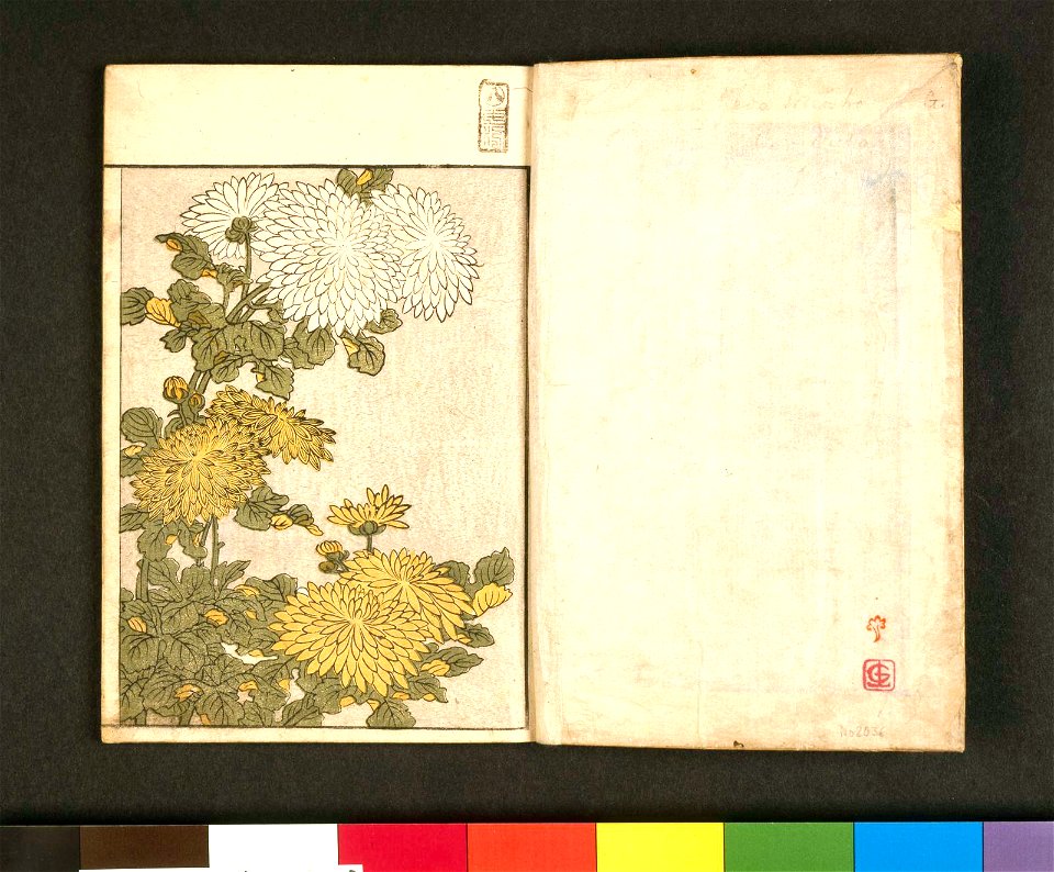 Ehon shiki no hana 絵本四季の花 (Picture-book of the Flowers of the Four Seasons) (BM 1979,0305,0.157.1 27)