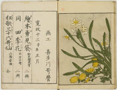Ehon shiki no hana 絵本四季の花 (Picture-book of the Flowers of the Four Seasons) (BM 1979,0305,0.157.2 07)