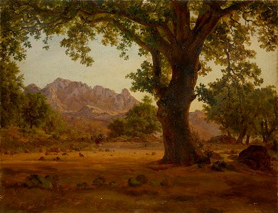 Eiche in Hügellandschaft, unbekannter deutscher Maler, 19.Jh (Metropolitan Museum of Art)