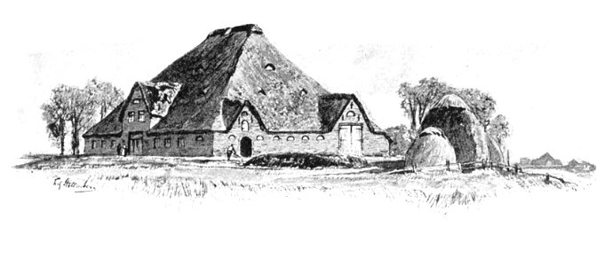 Eiderstedter Hauberg 01