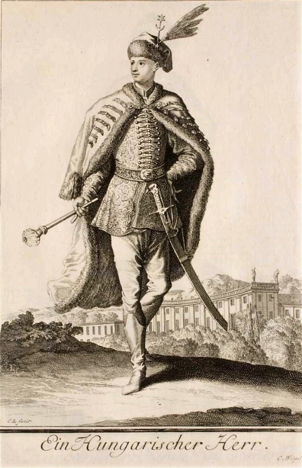 Ein Hungarischer herr
