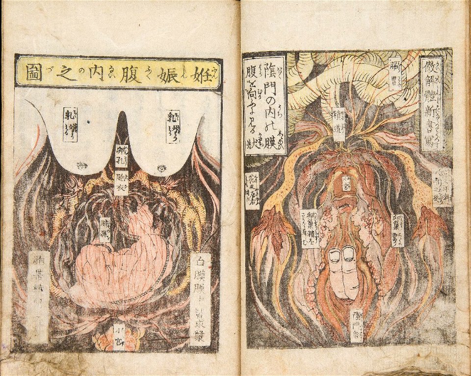 Eisen, News from the Bedroom() The Pillow Library (Keichû kibun()makura bunko), vol. 2, 1823