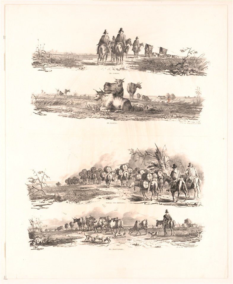 El camino. El campo. Carga de mendoza. El pastoreo LCCN2003672938