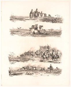 El camino. El campo. Carga de mendoza. El pastoreo LCCN2003672938