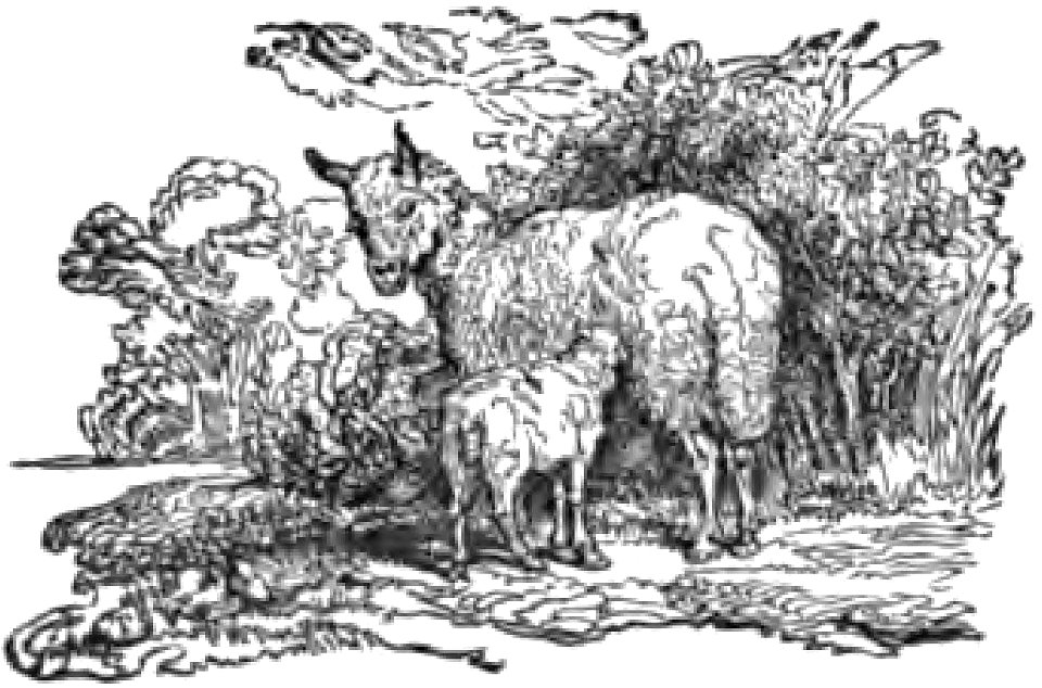 El ingenioso hidalgo Don Quijote del Mancha pg 86