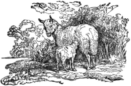 El ingenioso hidalgo Don Quijote del Mancha pg 86