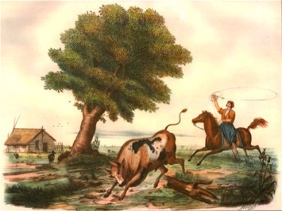 El lazo, según Isola