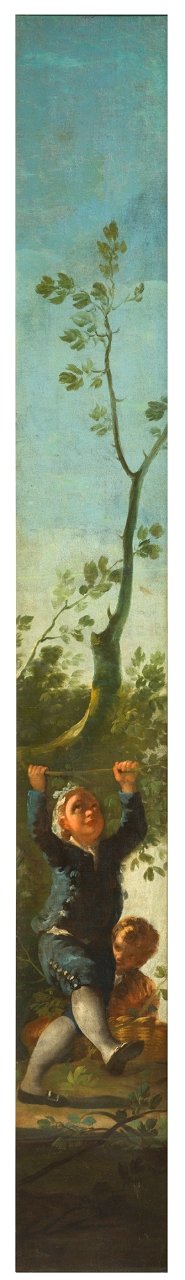 El niño del árbol