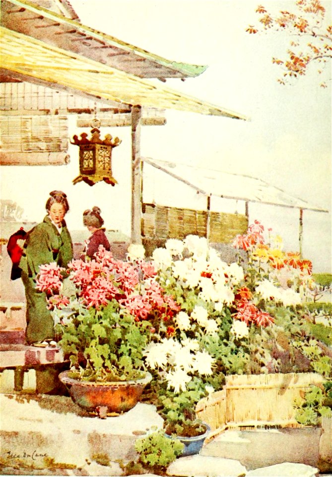 El Japón pg 8