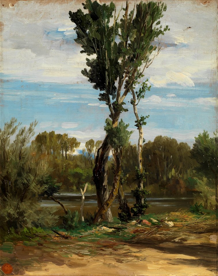 El lago de la Casa de Campo