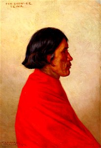 Elbridge Ayer Burbank - Poe-shom-ee - 1985.66.362,053 - Smithsonian American Art Museum