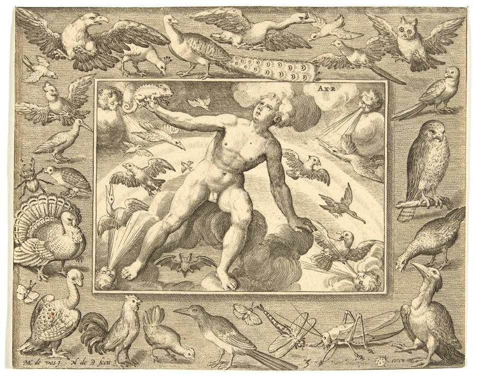 Element lucht als jonge man op wolken tussen vliegende vogels